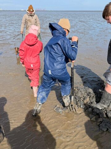 6c4b8cc8-40a3-40a7-bb5f-655a4702e393