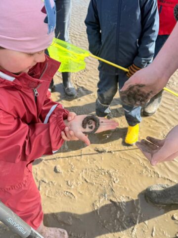 a4a2f93c-d1a1-487f-ba88-15e3c9044c28