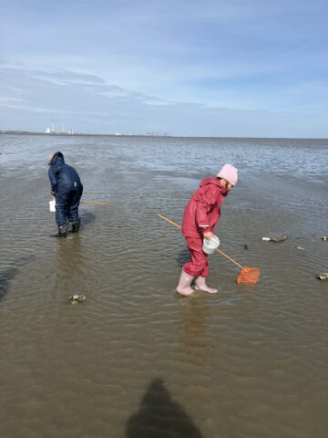 bcc7c9d9-f6ce-4661-9791-bf5da27f8d68