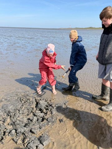 dc78a35b-a33c-4832-9982-e5bf76079ea3