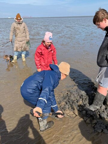 e3efd316-2e08-4107-8020-b13c3785204e